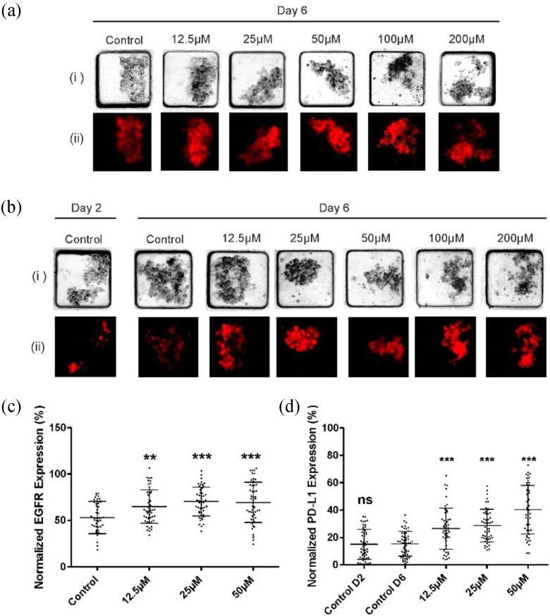 https://cdn.ncbi.nlm.nih.gov/pmc/blobs/b557/9252335/9536ae8362cd/zagno5-3178302.jpg
