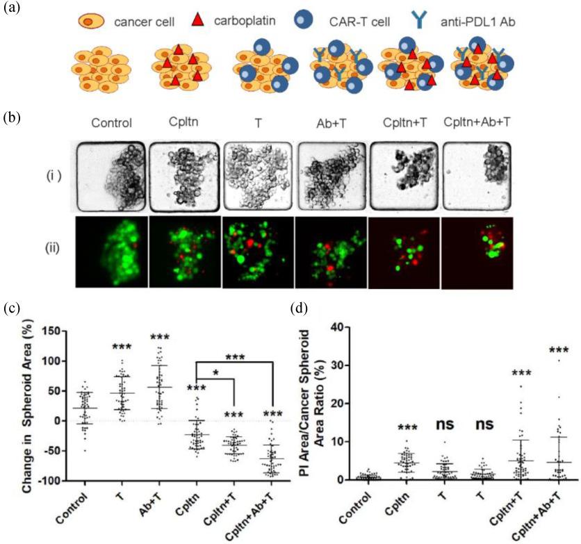 https://cdn.ncbi.nlm.nih.gov/pmc/blobs/b557/9252335/9ea05e74cb37/zagno3-3178302.jpg