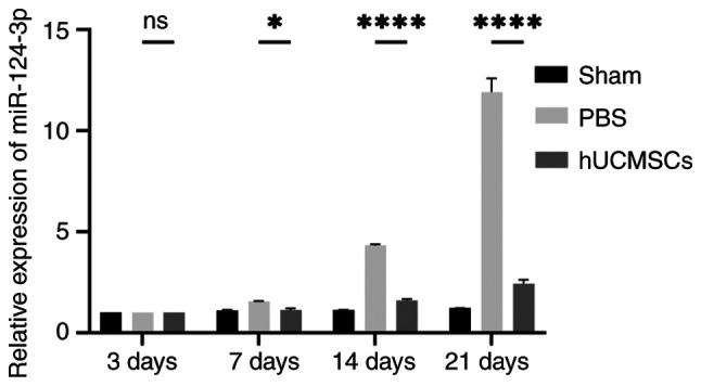 https://cdn.ncbi.nlm.nih.gov/pmc/blobs/b558/11775723/8cdd2d75508a/etm-29-03-12807-g06.jpg