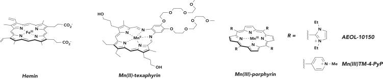 https://cdn.ncbi.nlm.nih.gov/pmc/blobs/b558/7074011/5e0f08a9ece3/gr1.jpg