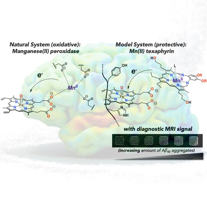 https://cdn.ncbi.nlm.nih.gov/pmc/blobs/b558/7074011/dce8ea061bf0/fx1.jpg