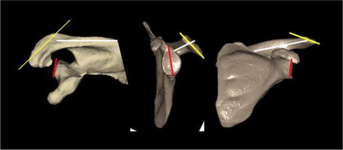 https://cdn.ncbi.nlm.nih.gov/pmc/blobs/b558/9685918/dfea671fad79/12891_2022_5920_Fig2_HTML.jpg