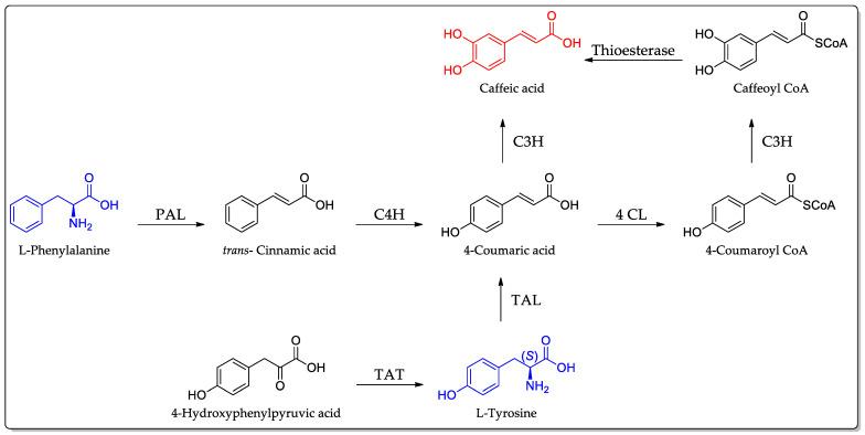 https://cdn.ncbi.nlm.nih.gov/pmc/blobs/b55d/11276737/8181c1ddd63a/ijms-25-07631-g003.jpg