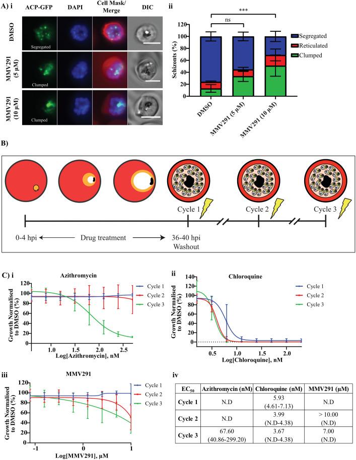 https://cdn.ncbi.nlm.nih.gov/pmc/blobs/b55f/10128974/58fa4fc58b0d/pbio.3002066.g006.jpg