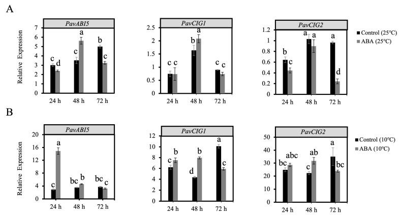 https://cdn.ncbi.nlm.nih.gov/pmc/blobs/b55f/12111482/7c1f1bac19be/genes-16-00596-g004.jpg