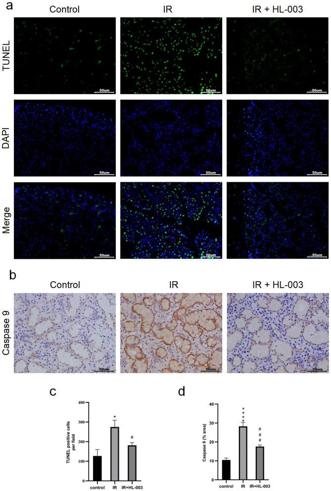 https://cdn.ncbi.nlm.nih.gov/pmc/blobs/b55f/9120142/786fbea6f8c2/41598_2022_12581_Fig5_HTML.jpg