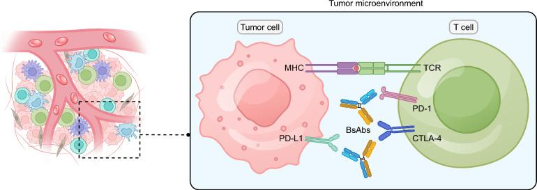 https://cdn.ncbi.nlm.nih.gov/pmc/blobs/b561/11283714/aef7e3a64b41/13045_2024_1581_Fig3_HTML.jpg