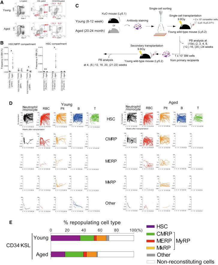 https://cdn.ncbi.nlm.nih.gov/pmc/blobs/b561/5896201/a477de055472/gr1.jpg