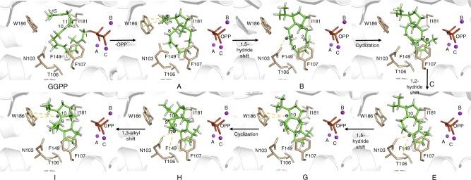 https://cdn.ncbi.nlm.nih.gov/pmc/blobs/b561/6162201/d6610de46489/41467_2018_6325_Fig4_HTML.jpg
