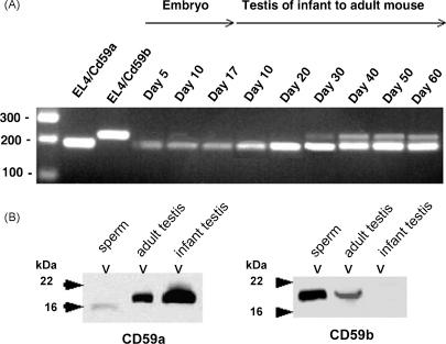 https://cdn.ncbi.nlm.nih.gov/pmc/blobs/b566/1995235/347d06ac8726/gr5.jpg