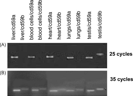 https://cdn.ncbi.nlm.nih.gov/pmc/blobs/b566/1995235/3bf8ad1f9eaf/gr1.jpg