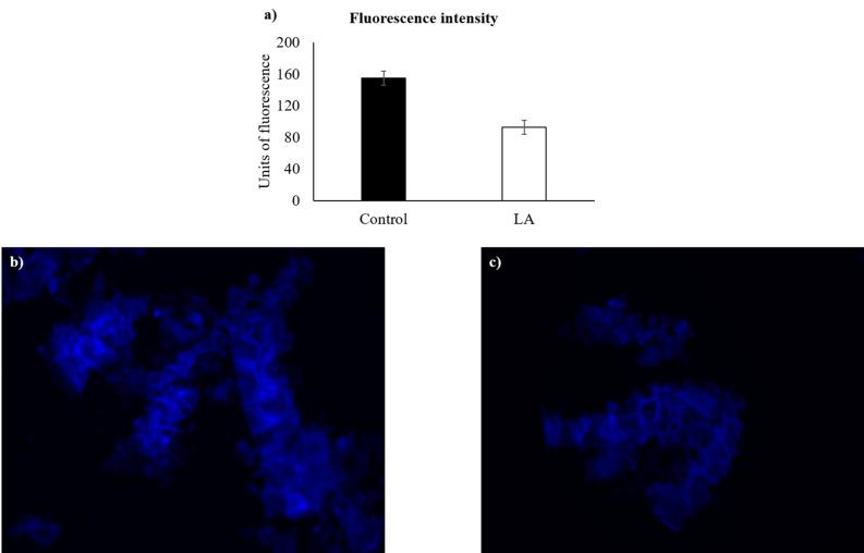 https://cdn.ncbi.nlm.nih.gov/pmc/blobs/b566/8102539/d9ceb1f8c47c/41598_2021_89278_Fig2_HTML.jpg