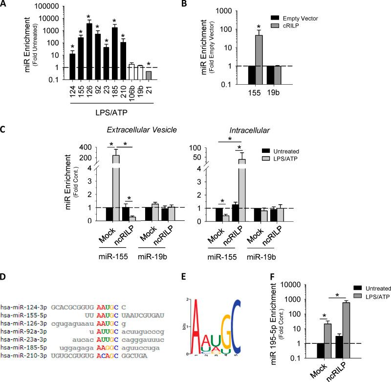 https://cdn.ncbi.nlm.nih.gov/pmc/blobs/b567/7659717/7659a2880e28/JCB_201912074_Fig2.jpg