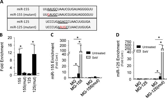 https://cdn.ncbi.nlm.nih.gov/pmc/blobs/b567/7659717/edf46536fcd1/JCB_201912074_Fig4.jpg