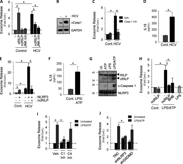 https://cdn.ncbi.nlm.nih.gov/pmc/blobs/b567/7659717/f2bcffff09a1/JCB_201912074_Fig1.jpg