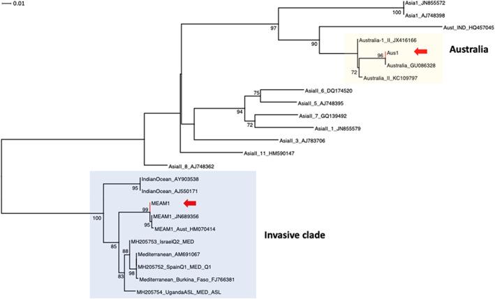 https://cdn.ncbi.nlm.nih.gov/pmc/blobs/b567/9546000/233b288642f0/PS-78-3248-g005.jpg