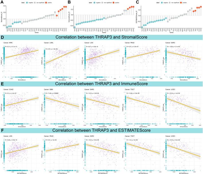 https://cdn.ncbi.nlm.nih.gov/pmc/blobs/b568/10850301/c050f3f2248a/fgene-15-1277541-g005.jpg