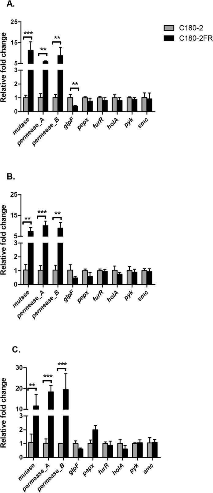 https://cdn.ncbi.nlm.nih.gov/pmc/blobs/b56a/4391945/08b5b806ab64/pone.0122630.g003.jpg