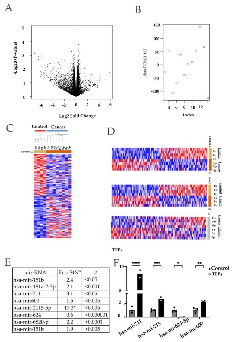 https://cdn.ncbi.nlm.nih.gov/pmc/blobs/b56c/9569638/6b3361b7fa2c/ijms-23-11438-g004.jpg
