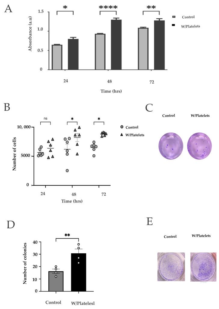 https://cdn.ncbi.nlm.nih.gov/pmc/blobs/b56c/9569638/b1e146eefed5/ijms-23-11438-g002.jpg