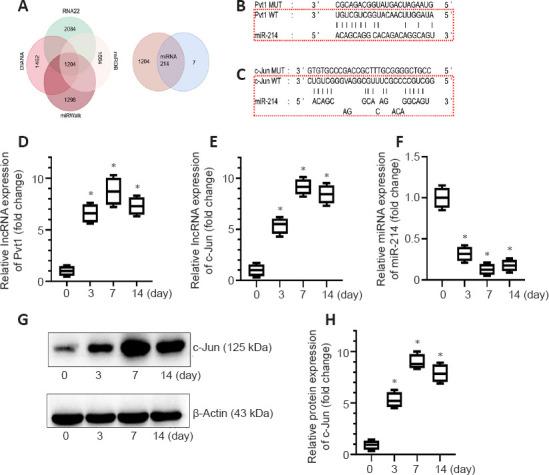 https://cdn.ncbi.nlm.nih.gov/pmc/blobs/b56d/9827779/8aa5b0c4a08d/NRR-18-1147-g005.jpg