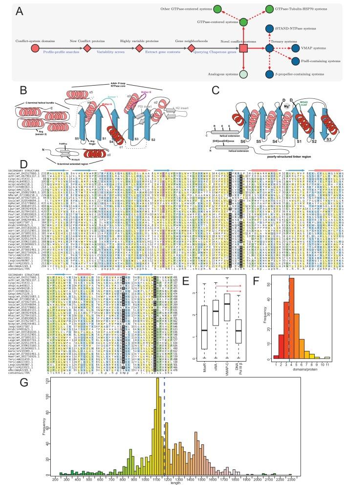 https://cdn.ncbi.nlm.nih.gov/pmc/blobs/b56e/7159879/344cab7f69ab/elife-52696-fig1.jpg