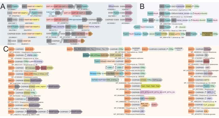 https://cdn.ncbi.nlm.nih.gov/pmc/blobs/b56e/7159879/3f01b4c79e50/elife-52696-fig7.jpg