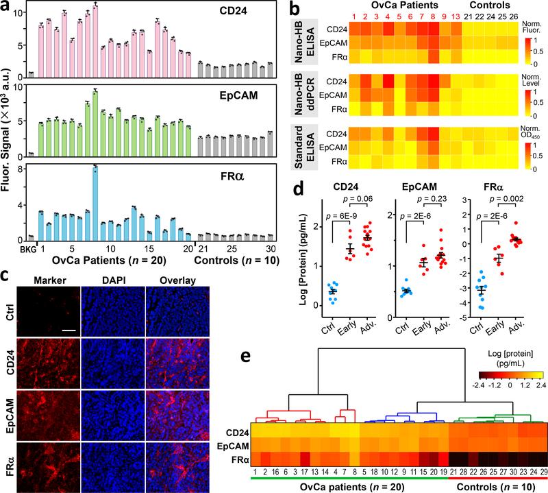 https://cdn.ncbi.nlm.nih.gov/pmc/blobs/b56f/6556143/7495e0756989/nihms-1518965-f0005.jpg