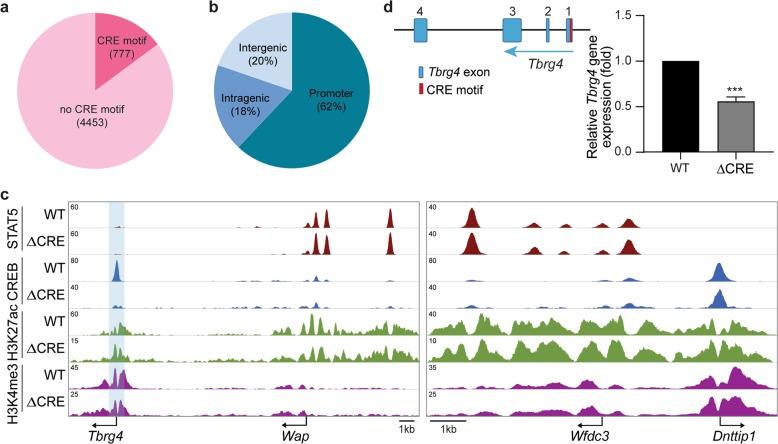 https://cdn.ncbi.nlm.nih.gov/pmc/blobs/b570/7210877/fcfc35552e9e/12276_2020_425_Fig4_HTML.jpg