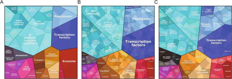 https://cdn.ncbi.nlm.nih.gov/pmc/blobs/b570/7346316/b9d94337b845/12911_2020_1115_Fig5_HTML.jpg
