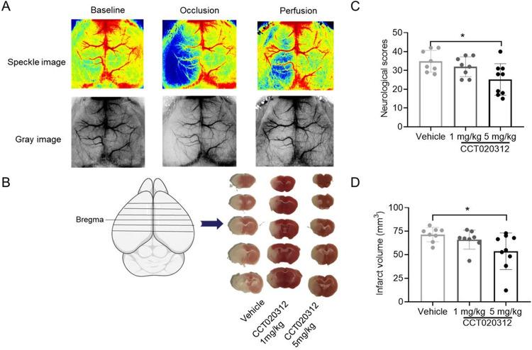 https://cdn.ncbi.nlm.nih.gov/pmc/blobs/b571/12019423/56b427b1f5eb/ao5c00125_0001.jpg