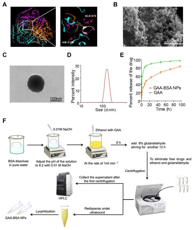 https://cdn.ncbi.nlm.nih.gov/pmc/blobs/b572/11786042/49a9cf62f31c/jcav16p1101g006.jpg