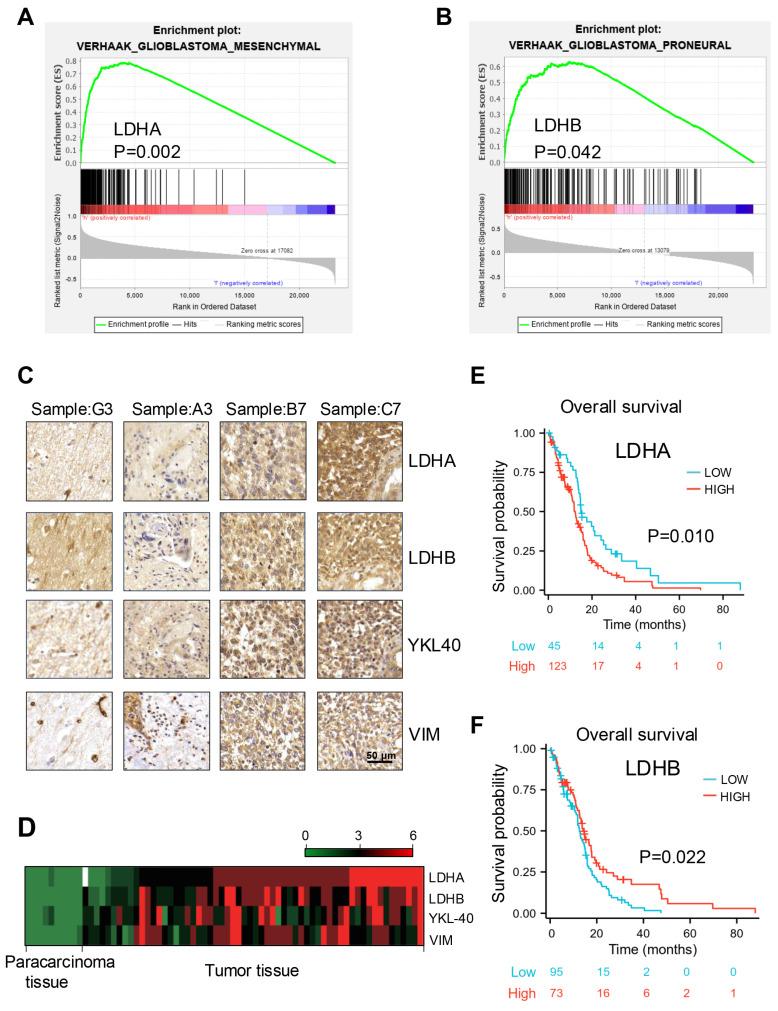 https://cdn.ncbi.nlm.nih.gov/pmc/blobs/b572/11786042/6da37c241fef/jcav16p1101g001.jpg