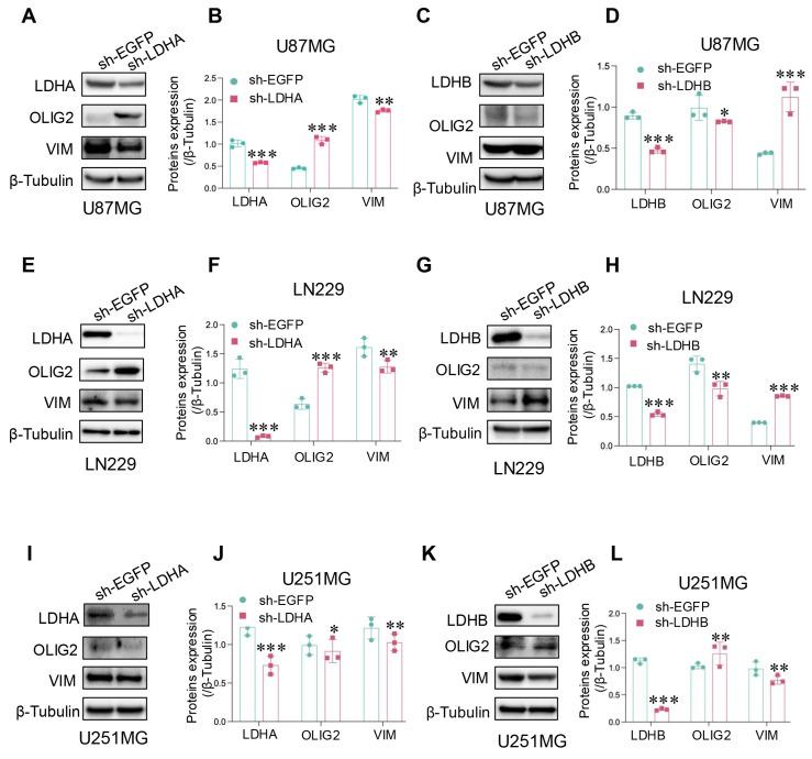 https://cdn.ncbi.nlm.nih.gov/pmc/blobs/b572/11786042/ab974705b438/jcav16p1101g005.jpg