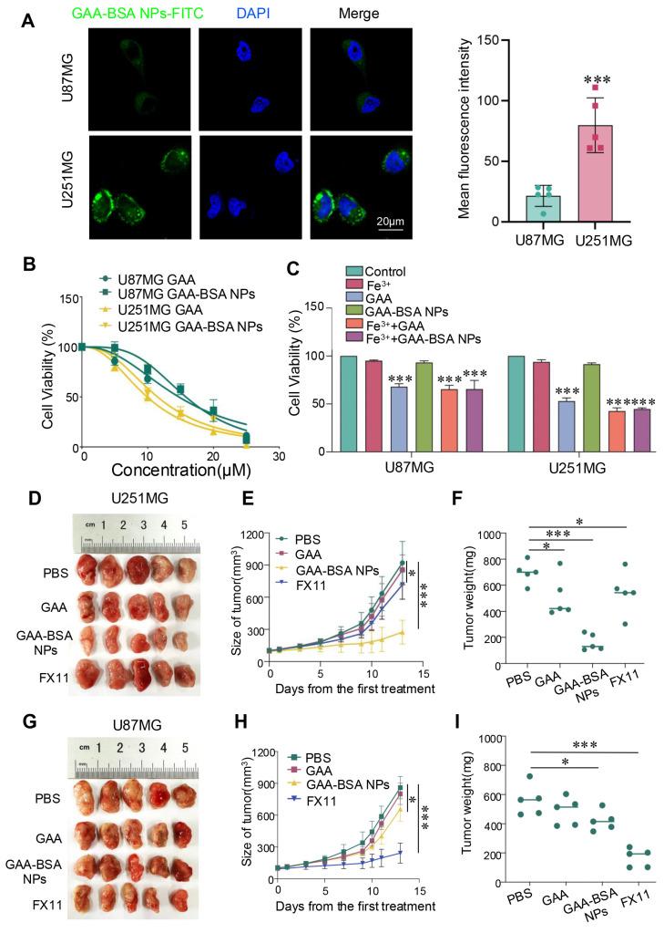 https://cdn.ncbi.nlm.nih.gov/pmc/blobs/b572/11786042/c0880a1279d7/jcav16p1101g007.jpg