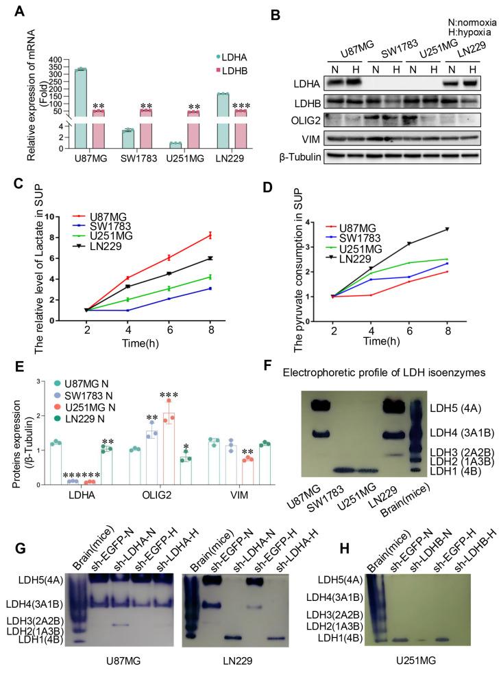 https://cdn.ncbi.nlm.nih.gov/pmc/blobs/b572/11786042/d7d221806f6b/jcav16p1101g002.jpg