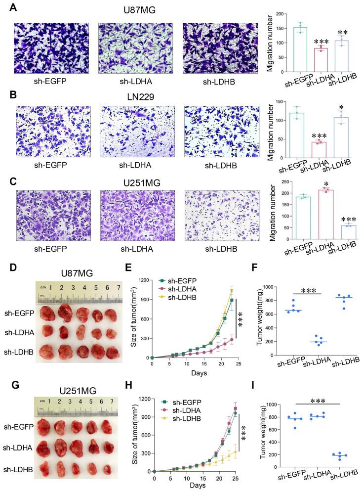 https://cdn.ncbi.nlm.nih.gov/pmc/blobs/b572/11786042/eab3c61cd1fc/jcav16p1101g004.jpg
