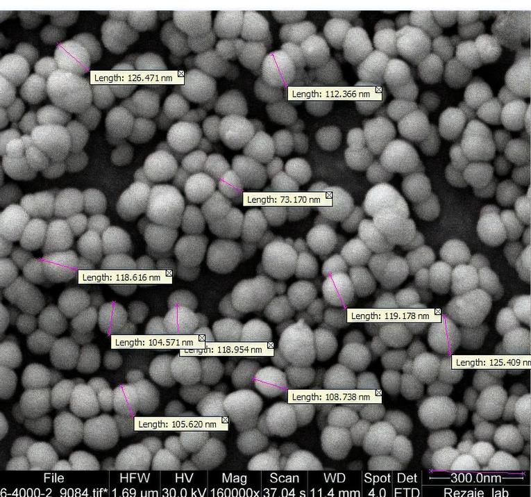 https://cdn.ncbi.nlm.nih.gov/pmc/blobs/b574/9012917/c1bb1e55bfe3/apb-12-86-g002.jpg