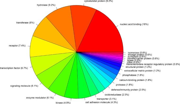 https://cdn.ncbi.nlm.nih.gov/pmc/blobs/b576/5352183/38a7c0283324/oncotarget-08-624-g003.jpg