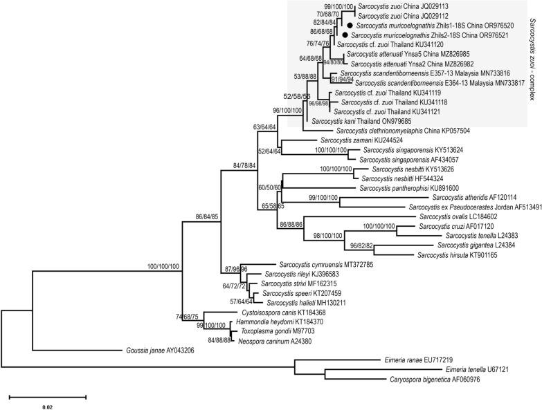 https://cdn.ncbi.nlm.nih.gov/pmc/blobs/b577/10943850/c176002cf49a/13071_2024_6230_Fig5_HTML.jpg