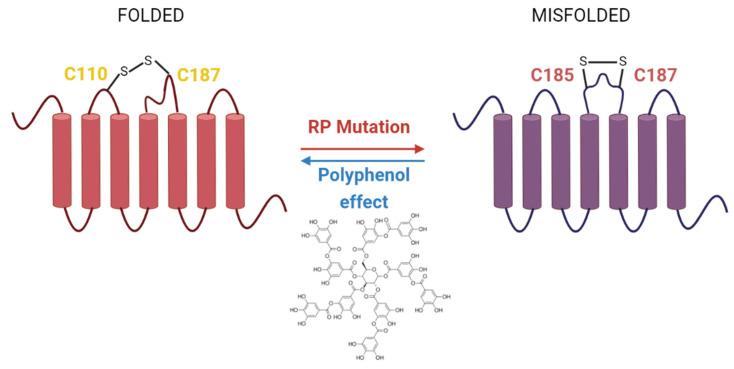 https://cdn.ncbi.nlm.nih.gov/pmc/blobs/b577/8200069/f54784da54a7/molecules-26-03407-g004.jpg