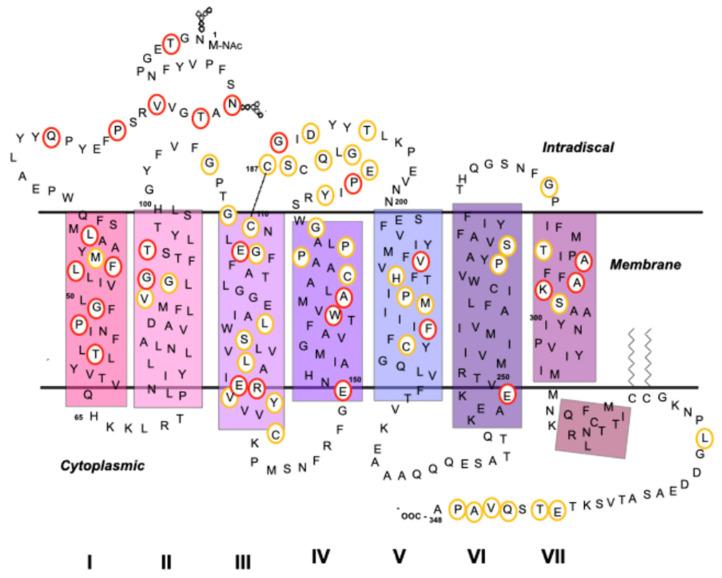 https://cdn.ncbi.nlm.nih.gov/pmc/blobs/b577/8200069/fd02b35fc01d/molecules-26-03407-g003.jpg