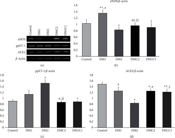 https://cdn.ncbi.nlm.nih.gov/pmc/blobs/b577/8277496/1ed91f7c1824/ECAM2021-6671130.004.jpg