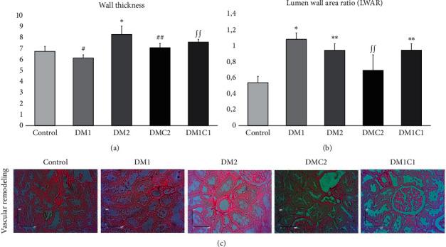 https://cdn.ncbi.nlm.nih.gov/pmc/blobs/b577/8277496/6d014b9ea6b9/ECAM2021-6671130.005.jpg