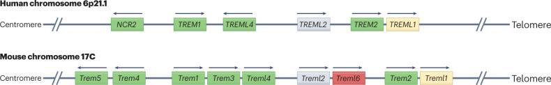 https://cdn.ncbi.nlm.nih.gov/pmc/blobs/b578/9904274/70695e065d47/41577_2023_837_Fig2_HTML.jpg