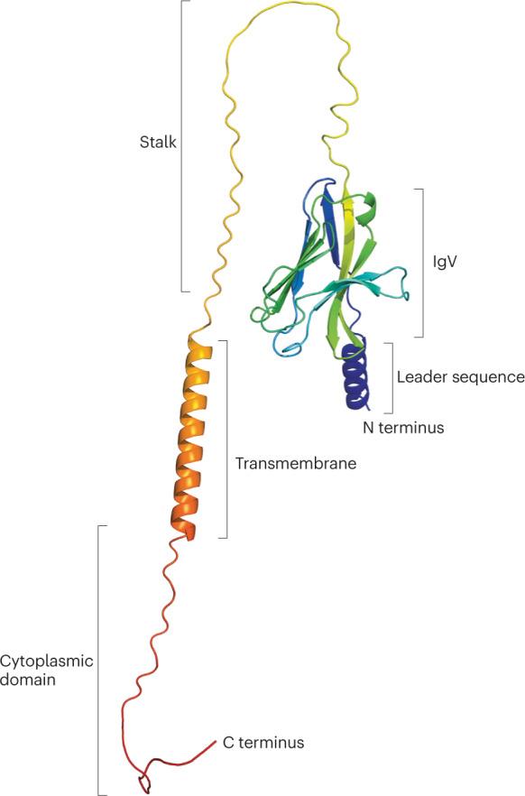 https://cdn.ncbi.nlm.nih.gov/pmc/blobs/b578/9904274/835966973f77/41577_2023_837_Fig1_HTML.jpg