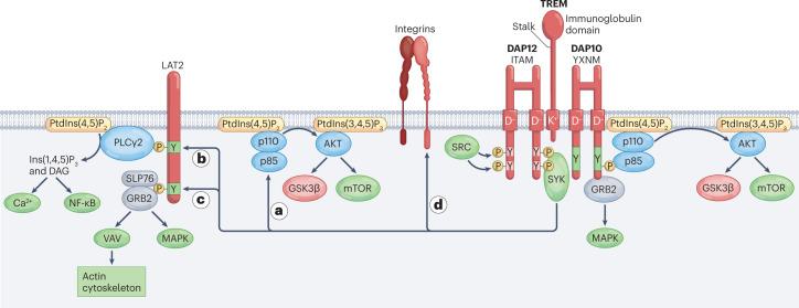 https://cdn.ncbi.nlm.nih.gov/pmc/blobs/b578/9904274/d1cfe27a502a/41577_2023_837_Fig3_HTML.jpg