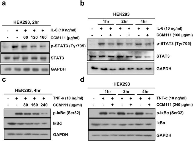 https://cdn.ncbi.nlm.nih.gov/pmc/blobs/b579/5501807/aa25188a11a4/41598_2017_5072_Fig3_HTML.jpg