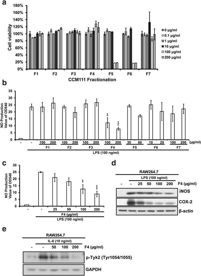 https://cdn.ncbi.nlm.nih.gov/pmc/blobs/b579/5501807/e704069f72f9/41598_2017_5072_Fig7_HTML.jpg