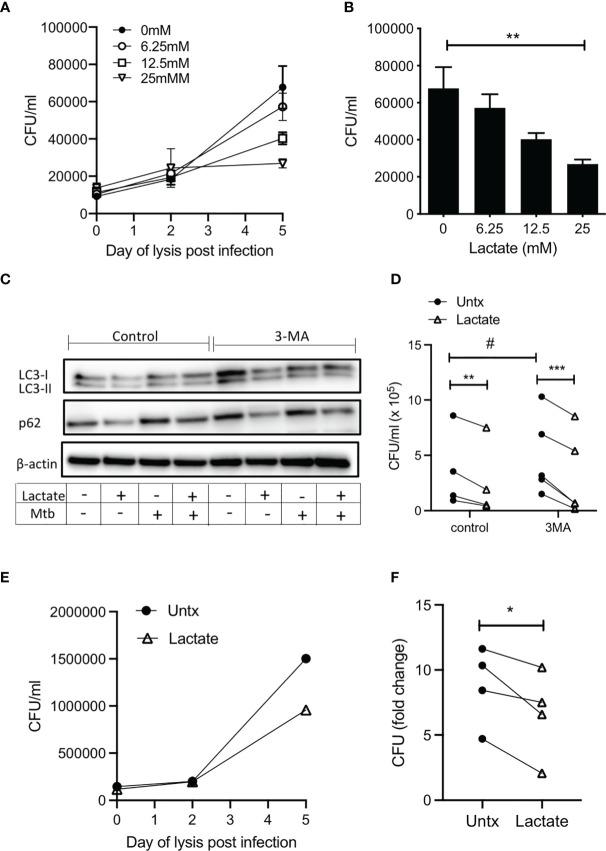 https://cdn.ncbi.nlm.nih.gov/pmc/blobs/b57a/8526932/384656ac2e0e/fimmu-12-663695-g004.jpg